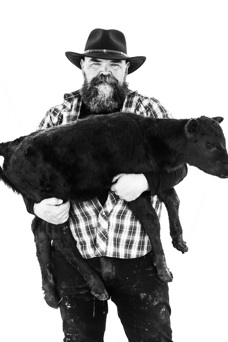 farmer holding a calf